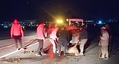 Otomobilin çarptığı koyun sürüsünde 18 koyun telef oldu