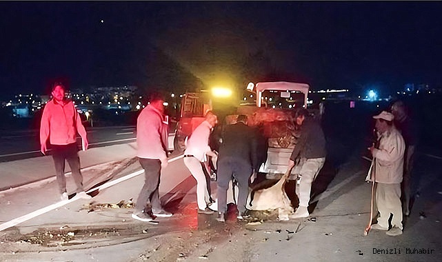 Otomobilin çarptığı koyun sürüsünde 18 koyun telef oldu