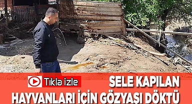 Sele kapılan hayvanları için gözyaşı döktü