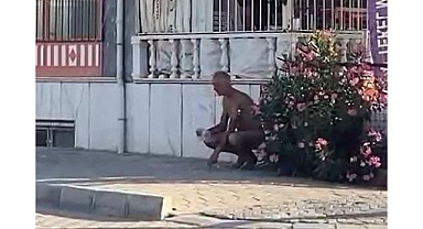Sokakta çıplak koşan kişi gözaltına alındı