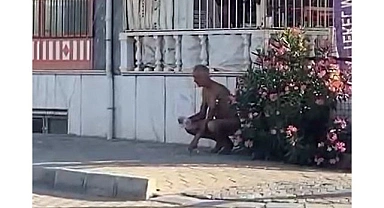Sokakta çıplak koşan kişi gözaltına alındı