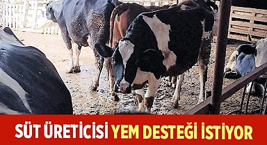 Süt üreticileri artan maliyetler karşısında yem desteği talep etti