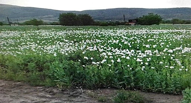 Uyuşturucu tacirlerine Denizli’de büyük darbe