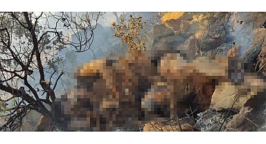 Yangın alanında, erkek cesedi bulundu