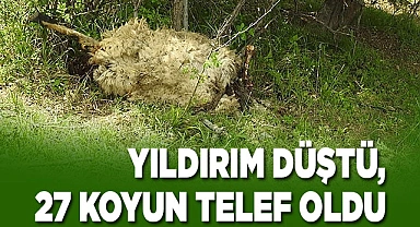 Yıldırım düştü, 27 koyun telef oldu
