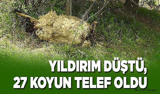 Yıldırım düştü, 27 koyun telef oldu