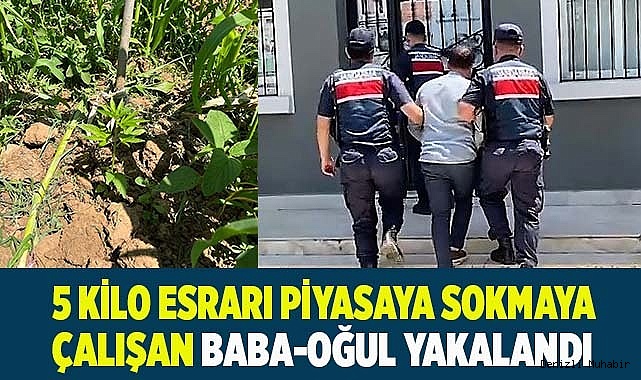 5 kilo esrarı piyasaya sokmaya çalışan baba-oğul yakalandı