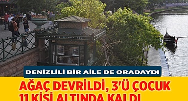 Ağaç devrildi, 3'ü çocuk 11 kişi altında kaldı
