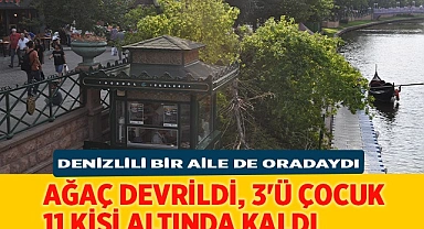 Ağaç devrildi, 3'ü çocuk 11 kişi altında kaldı