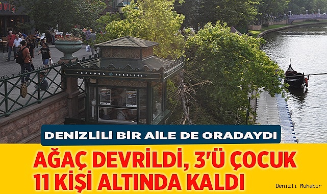 Ağaç devrildi, 3'ü çocuk 11 kişi altında kaldı