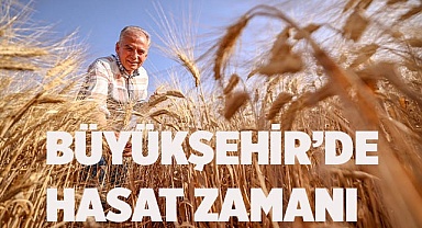 Başkan Zolan bu kez biçerdöverle buğday hasadı yaptı