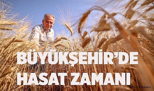 Başkan Zolan bu kez biçerdöverle buğday hasadı yaptı