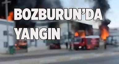 Bozburun'da yangın