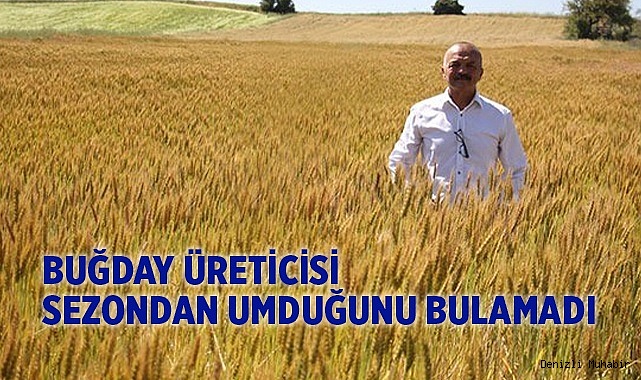 Buğday üreticisi sezondan umduğunu bulamadı