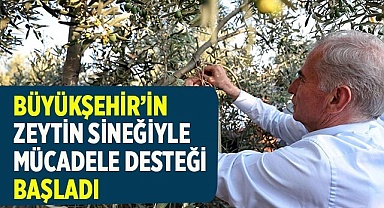 Büyükşehir’in zeytin sineğiyle mücadele desteği başladı