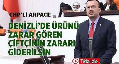 CHP’Lİ ARPACI, DENİZLİLİ ÜRETİCİLERİN SORUNLARINI MECLİS GÜNDEMİNE TAŞIDI