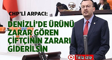 CHP’Lİ ARPACI, DENİZLİLİ ÜRETİCİLERİN SORUNLARINI MECLİS GÜNDEMİNE TAŞIDI
