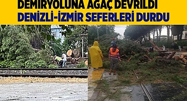 Demiryoluna ağaç devrildi seferler durdu