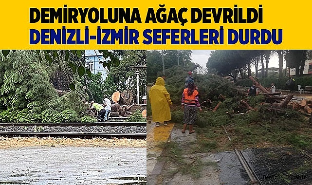Demiryoluna ağaç devrildi seferler durdu