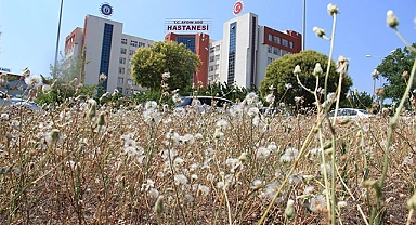 Hastaneden kaçan psikiyatri hastası dehşet saçtı