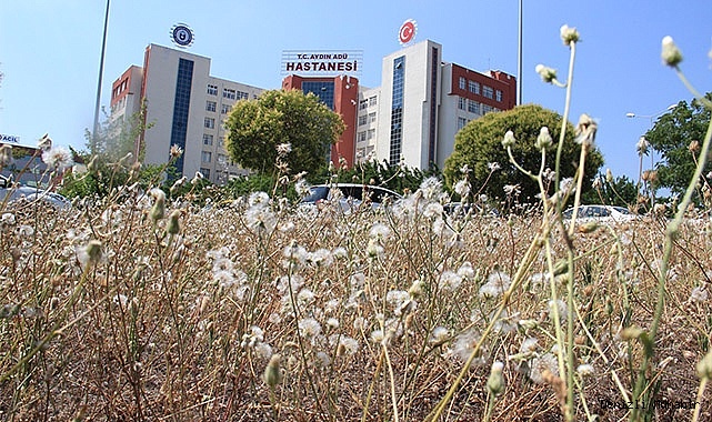 Hastaneden kaçan psikiyatri hastası dehşet saçtı