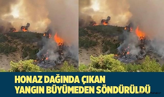 Honaz Dağında çıkan yangın büyümeden söndürüldü