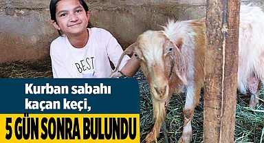Kurban sabahı kaçan keçi, 5 gün sonra bulundu