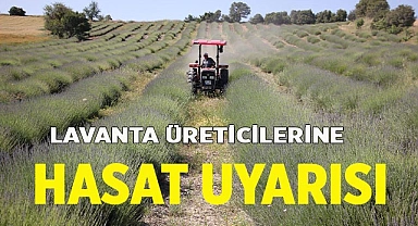 Lavanta üreticilerine hasat uyarısı