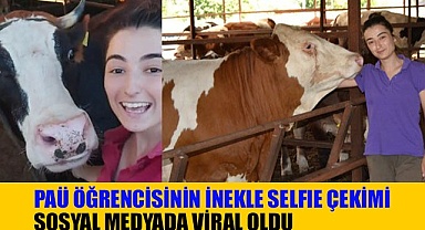 PAÜ öğrencisinin inekle selfie çekimi sosyal medyada viral oldu