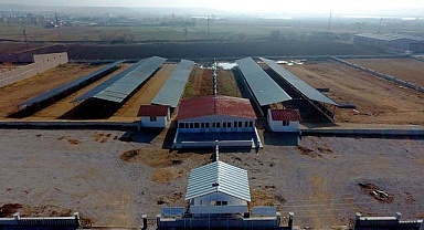 Sandıklı hayvan pazarı kapatıldı