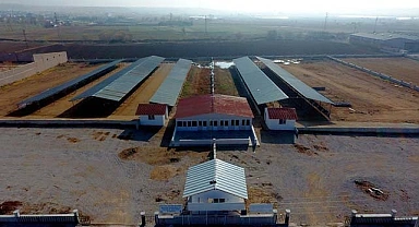 Sandıklı hayvan pazarı kapatıldı