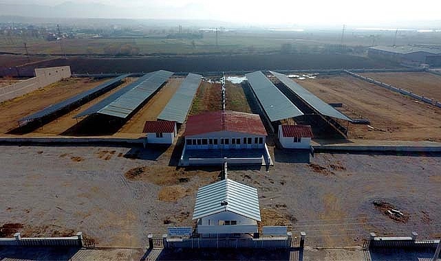 Sandıklı hayvan pazarı kapatıldı