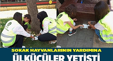 SOKAK HAYVANLARININ YARDIMINA ÜLKÜCÜLER YETİŞTİ