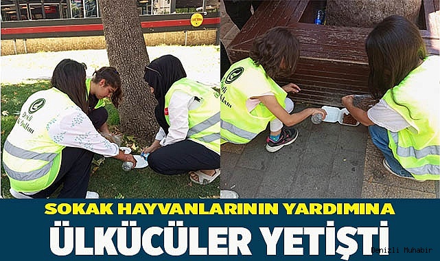 SOKAK HAYVANLARININ YARDIMINA ÜLKÜCÜLER YETİŞTİ