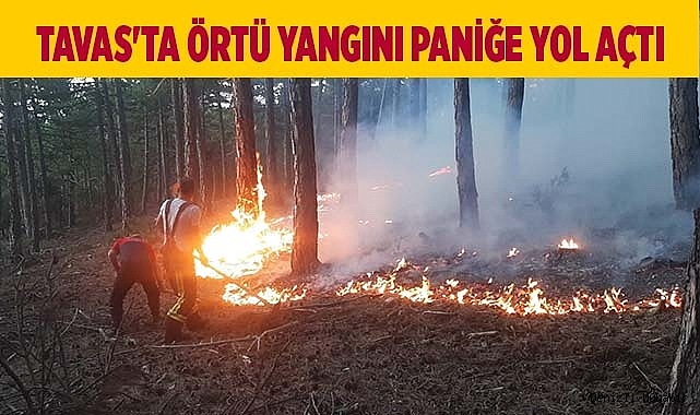 Tavas'ta örtü yangını paniğe yol açtı