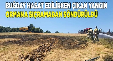 Yangın ormana sıçramadan söndürüldü