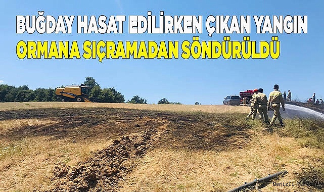 Yangın ormana sıçramadan söndürüldü