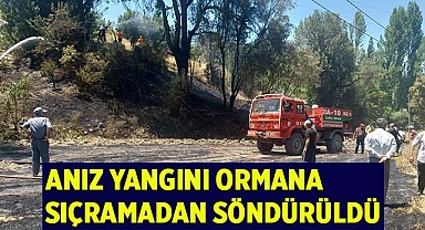 Yangın, ormana sıçramadan söndürüldü