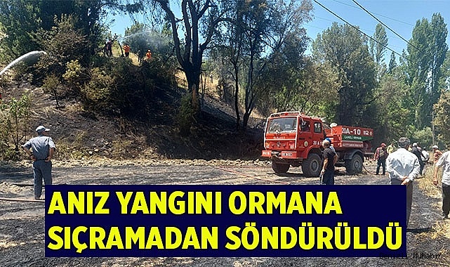 Yangın, ormana sıçramadan söndürüldü