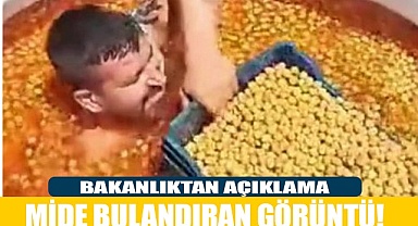 Zeytin havuzu görüntüsüne inceleme