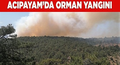 Acıpayam’da orman yangını