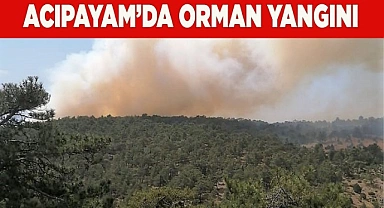 Acıpayam’da orman yangını
