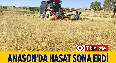 Anason’da hasat sona erdi