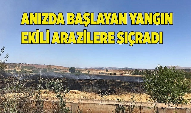Anızda başlayan yangın ekili arazilere sıçradı