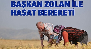 Başkan Zolan nohut hasadında çocukluğunu yeniden yaşadı