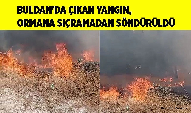Buldan'da çıkan yangın, ormana sıçramadan söndürüldü