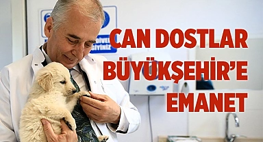Büyükşehir ilk 7 ayda 506 sokak hayvanına sıcak bir yuva buldu