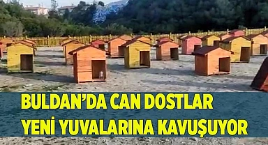 Can dostlar yeni yuvalarına kavuşuyor