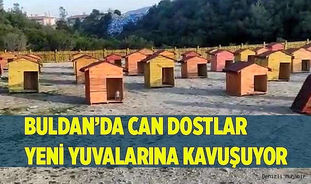Can dostlar yeni yuvalarına kavuşuyor