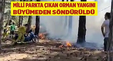 Cankurtaran'da çıkan yangın büyümeden söndürüldü